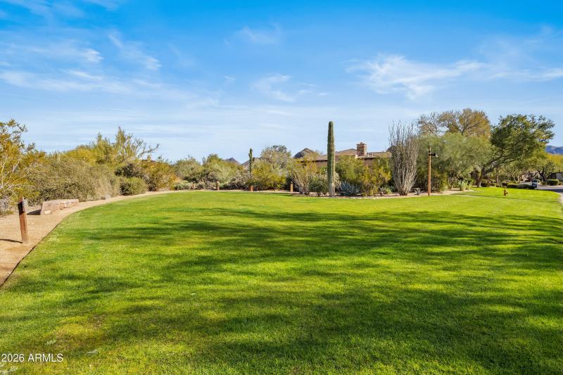 Grassy Park in Front of Home