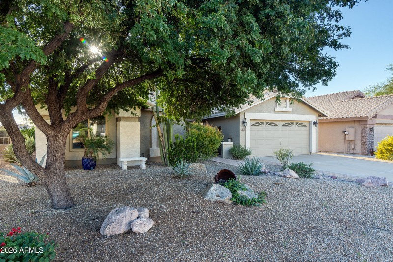 Large front yard