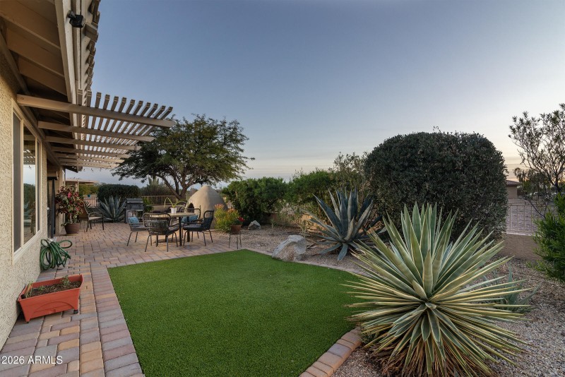 Backyard