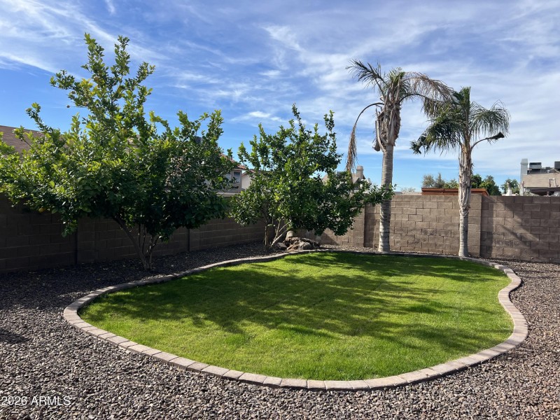 Backyard grass area