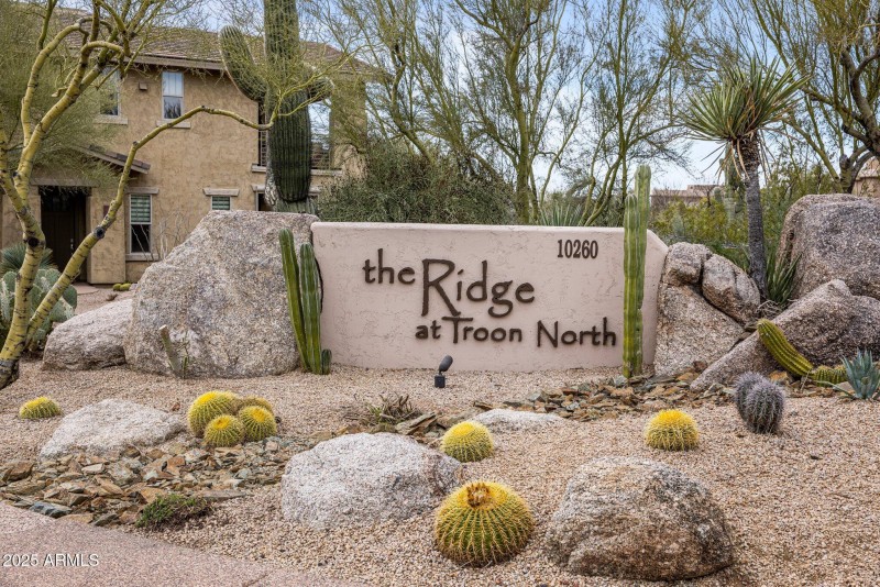 The Ridge