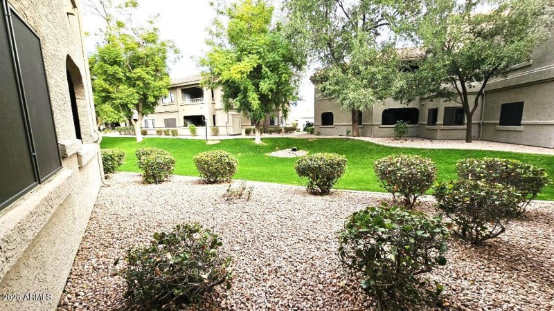From the Patio