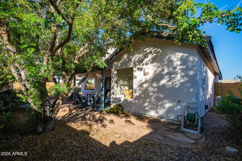 DSC00946-Enhanced-NR