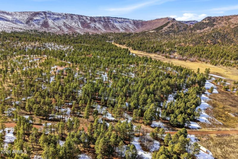 9CR2269-Nutrioso-AZ-39