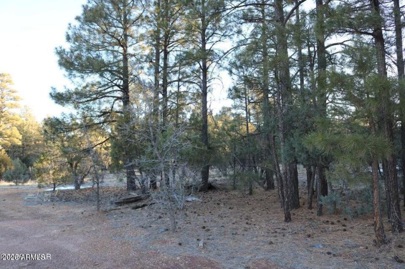 20260131182359129110000000-o