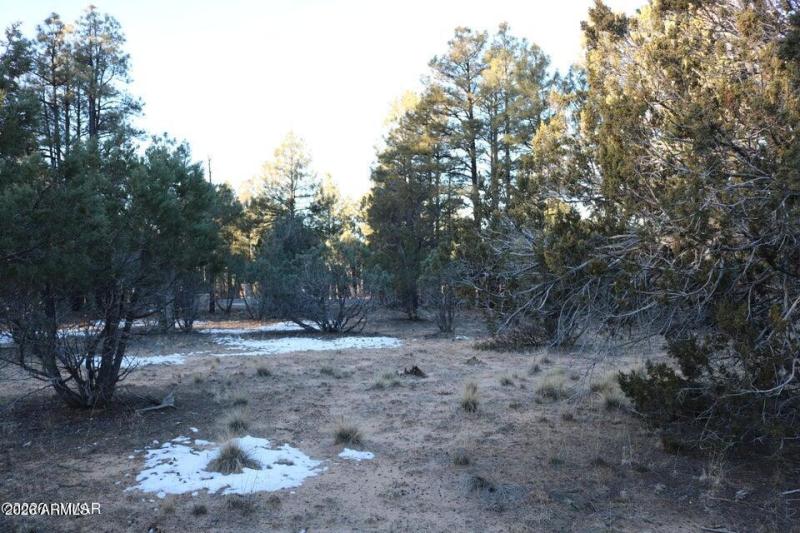 20260131182352108566000000-o