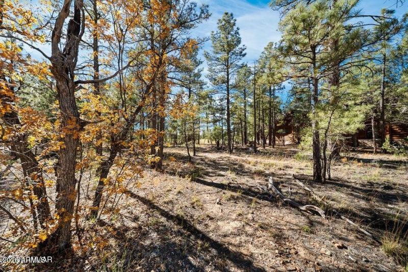 20251110205705746649000000-o