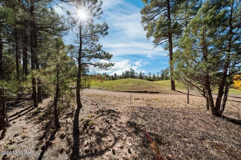 20251110205707188875000000-o