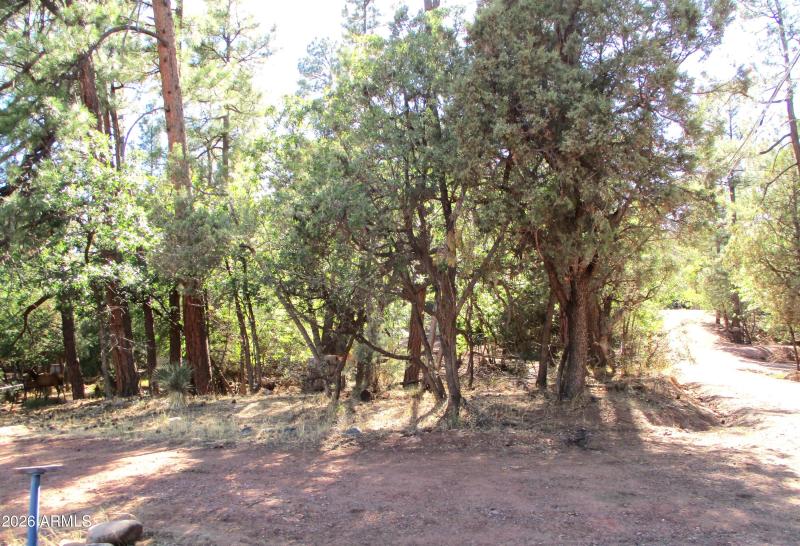 View from Corner in Summer