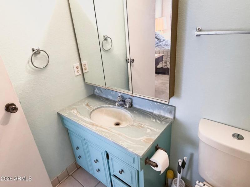 Primary Bathroom Vanity