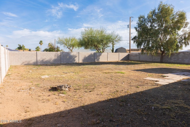 Backyard