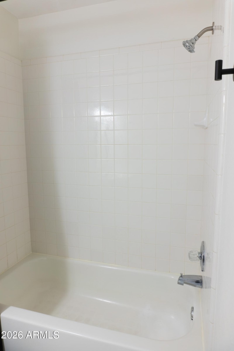 Hall Bathroom
