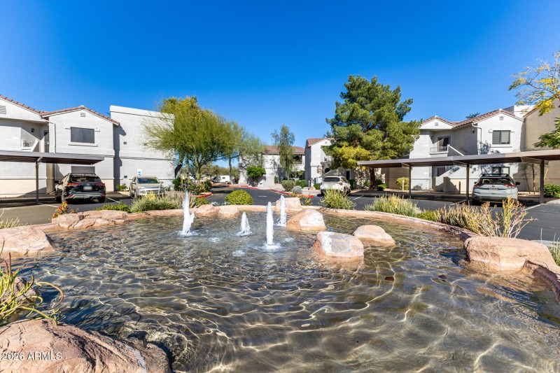 29 Raintree