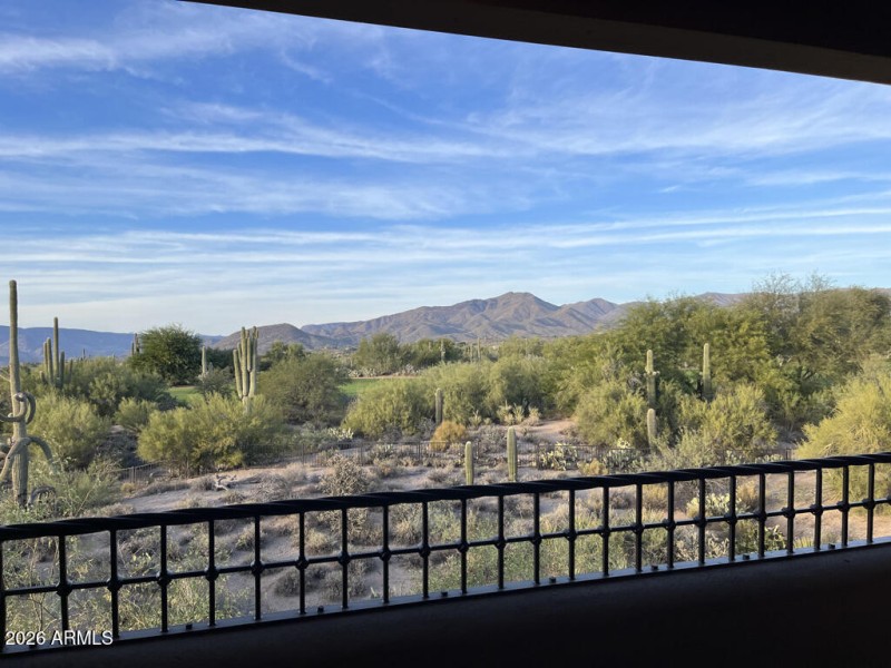 backyard views