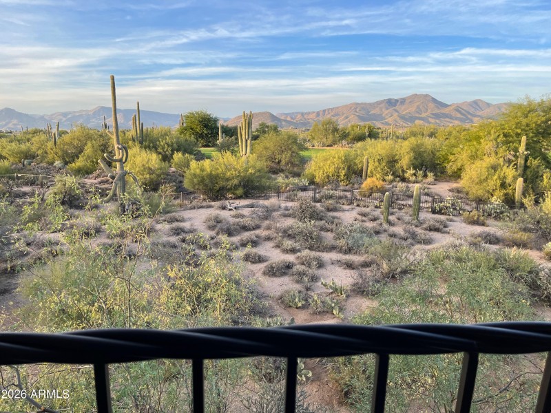 Back patio views!