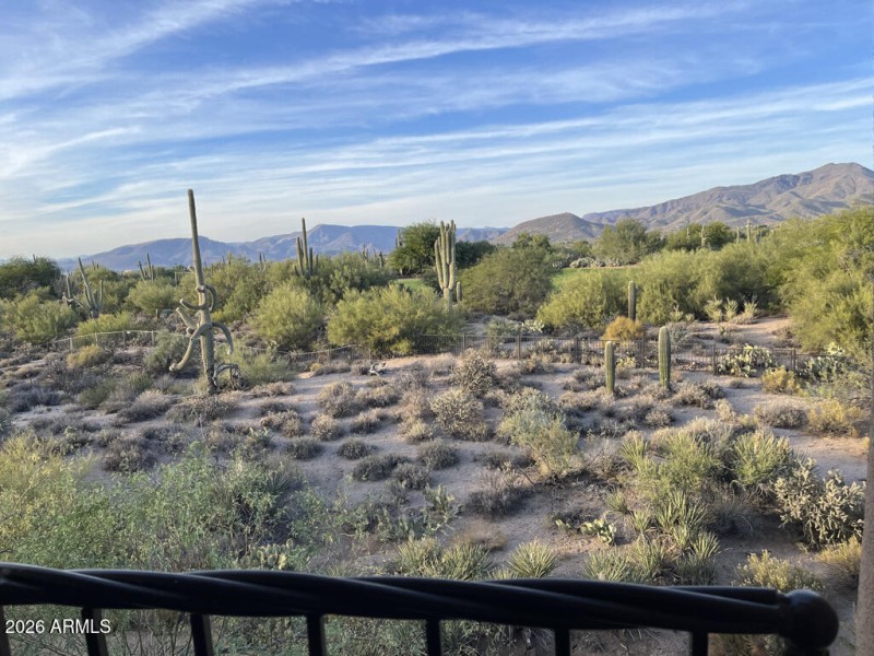 Backyard views