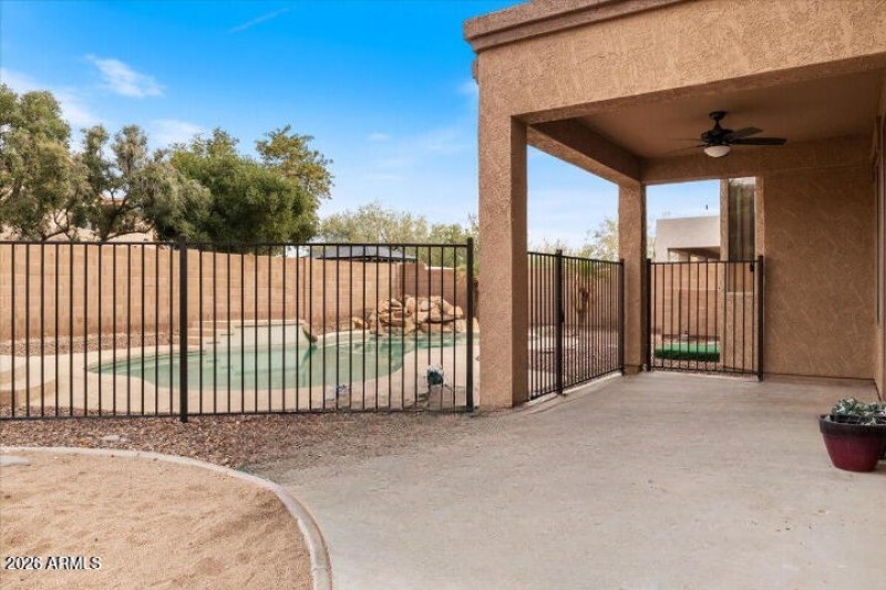 Cholla backyard pool view_cleanup(1)