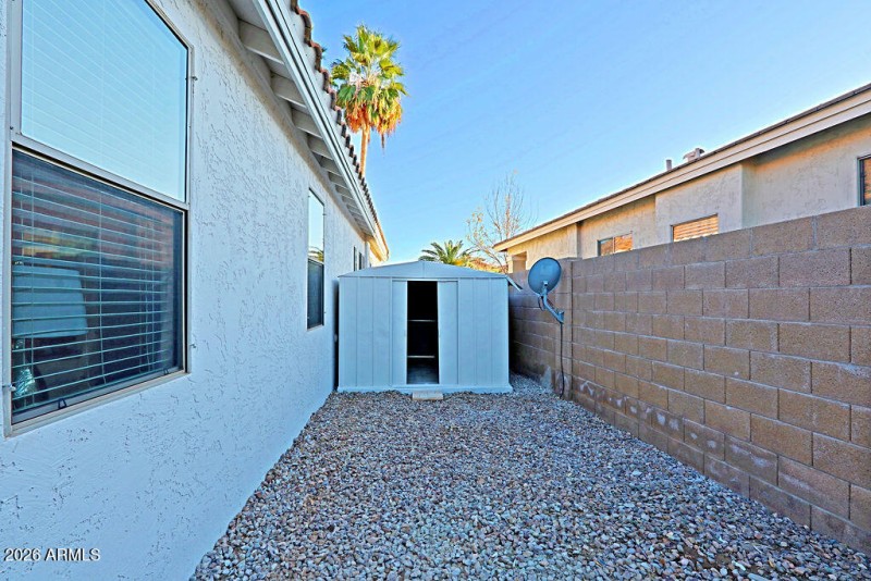 Backyard4