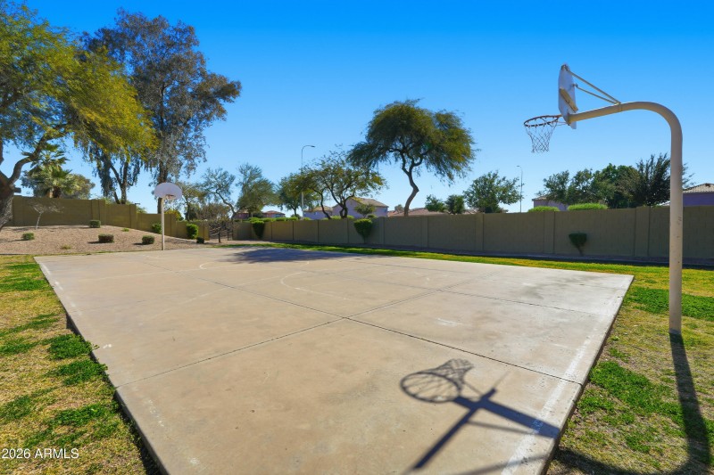 Basketball court
