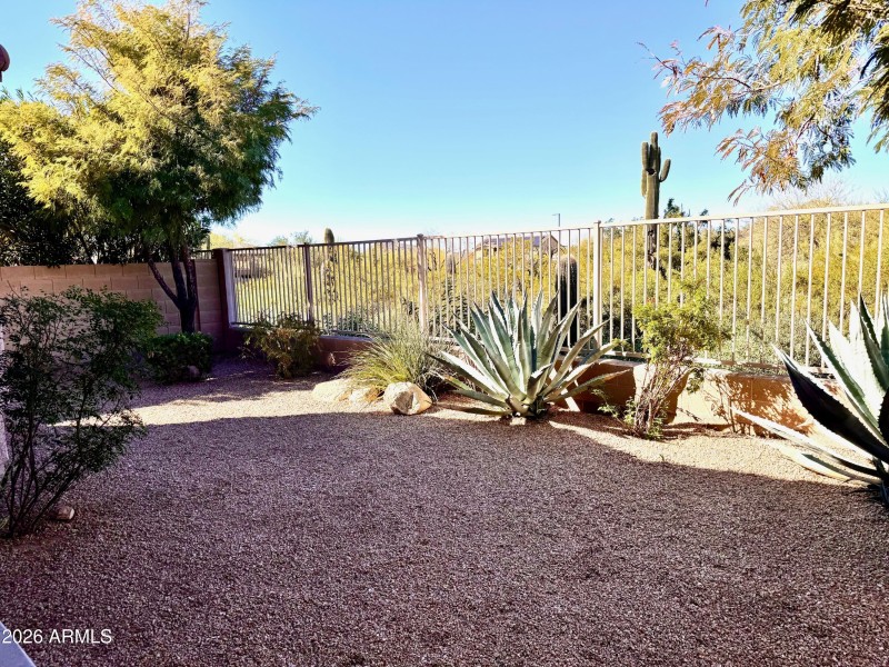 Rear yard from patio