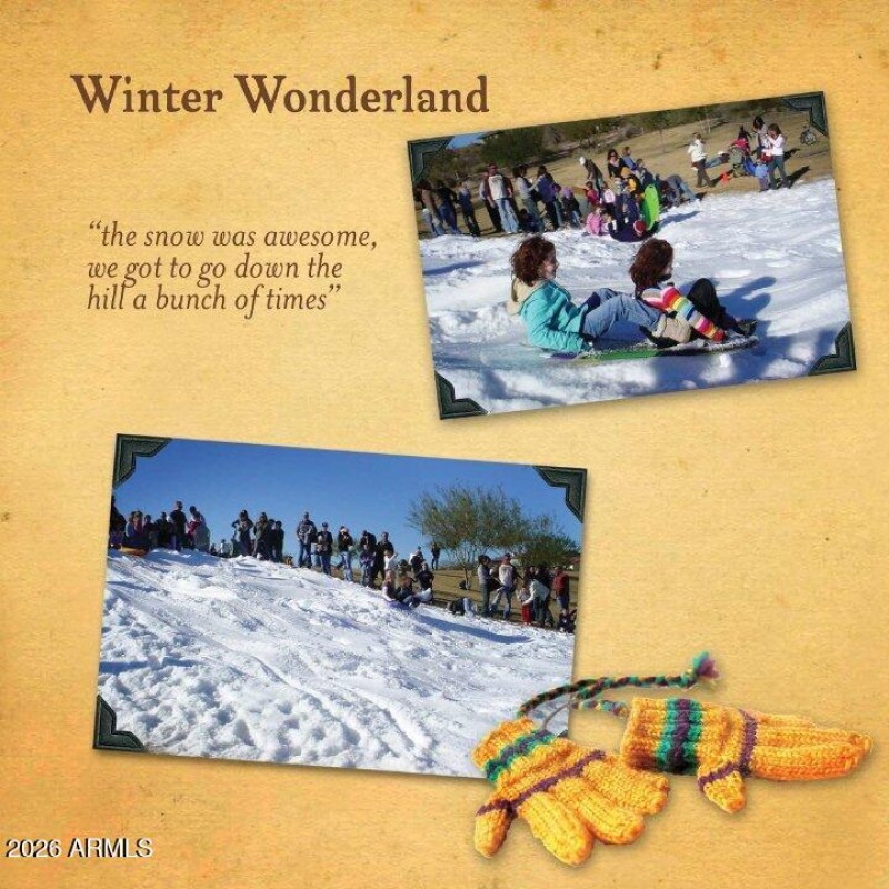 Winter Wonderland