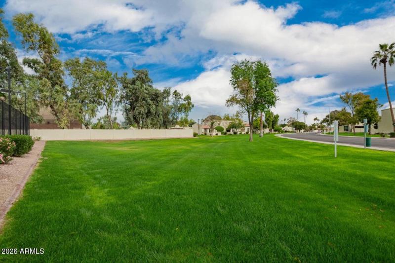 grass area