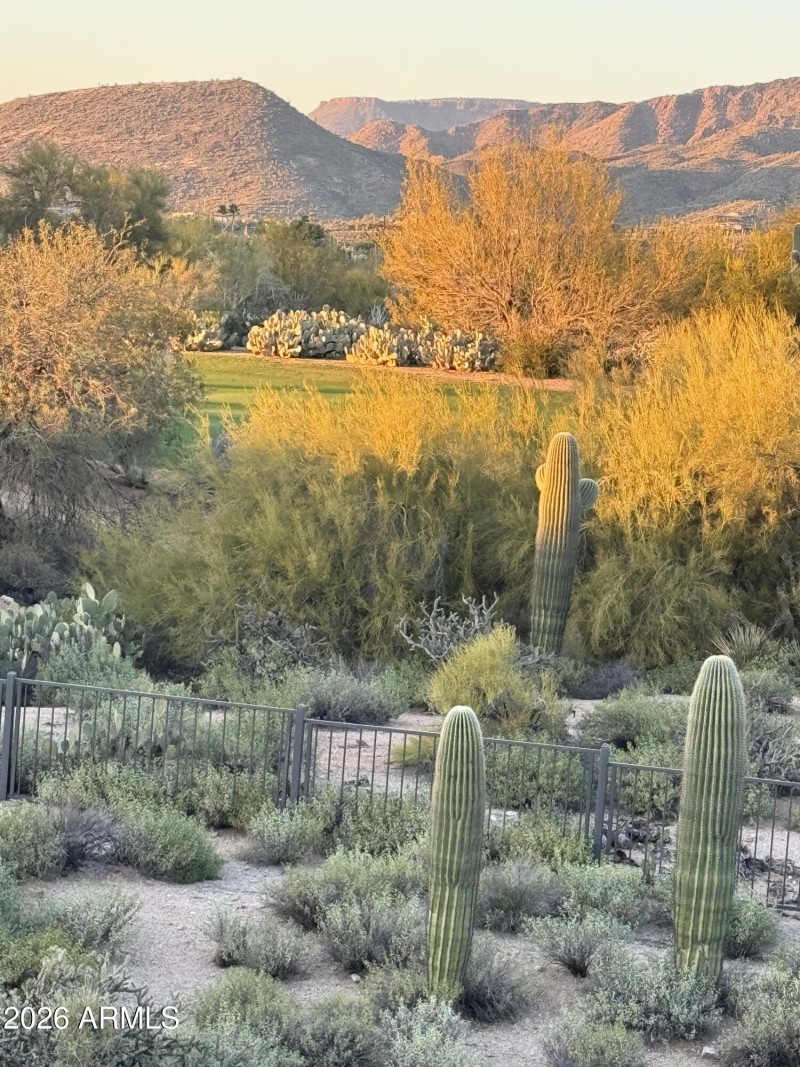 backyard views