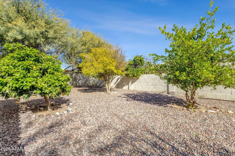 Backyard