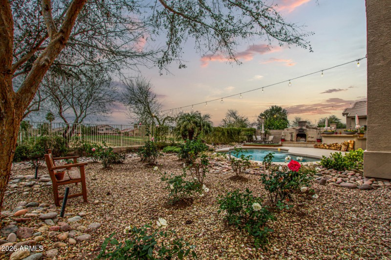 Backyard View