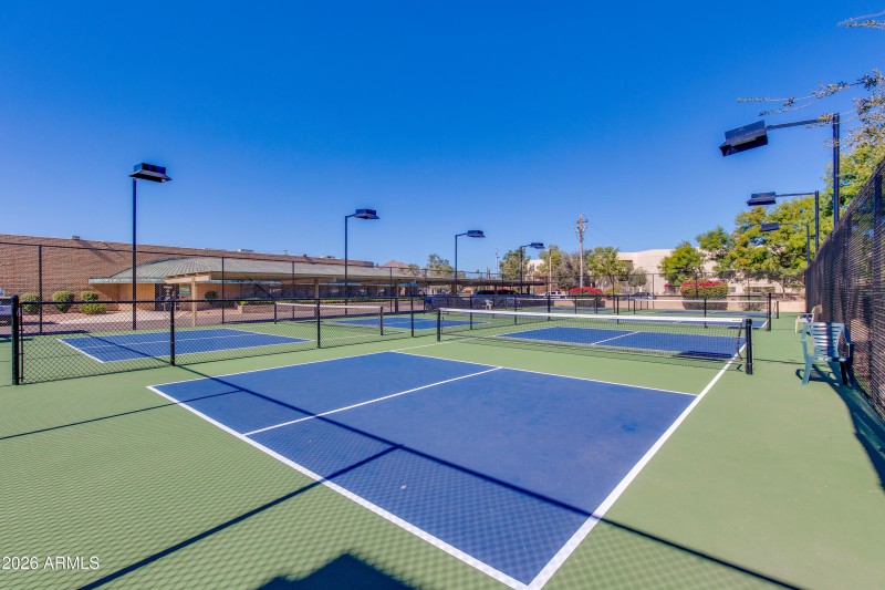 Sport Courts (New!)