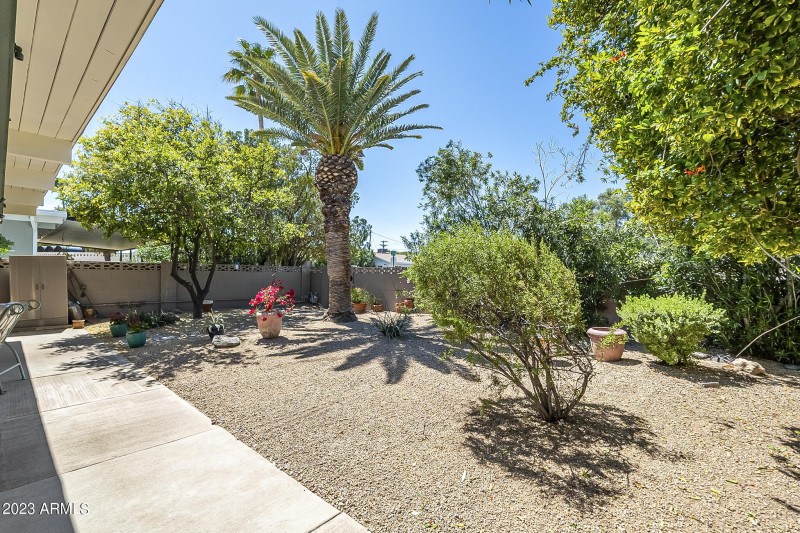 Backyard