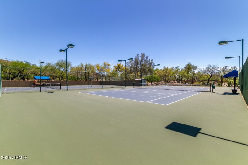 Pickle Ball
