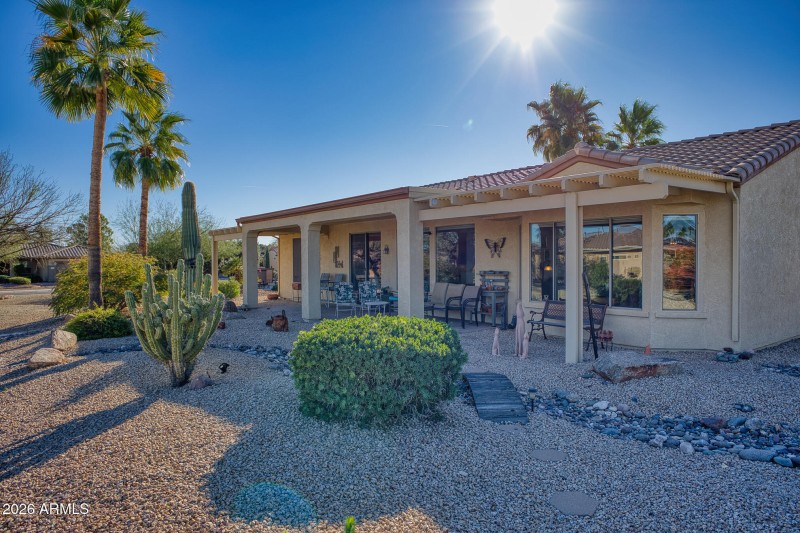 Desert Backyard Oasis