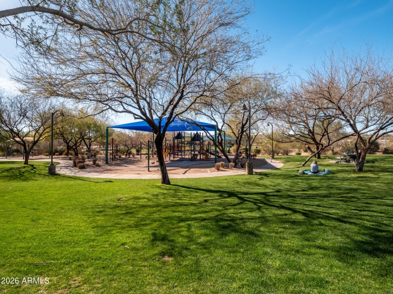96_p2311892-hdr
