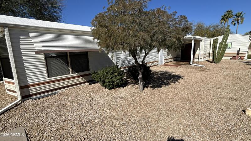 Back Yard 1
