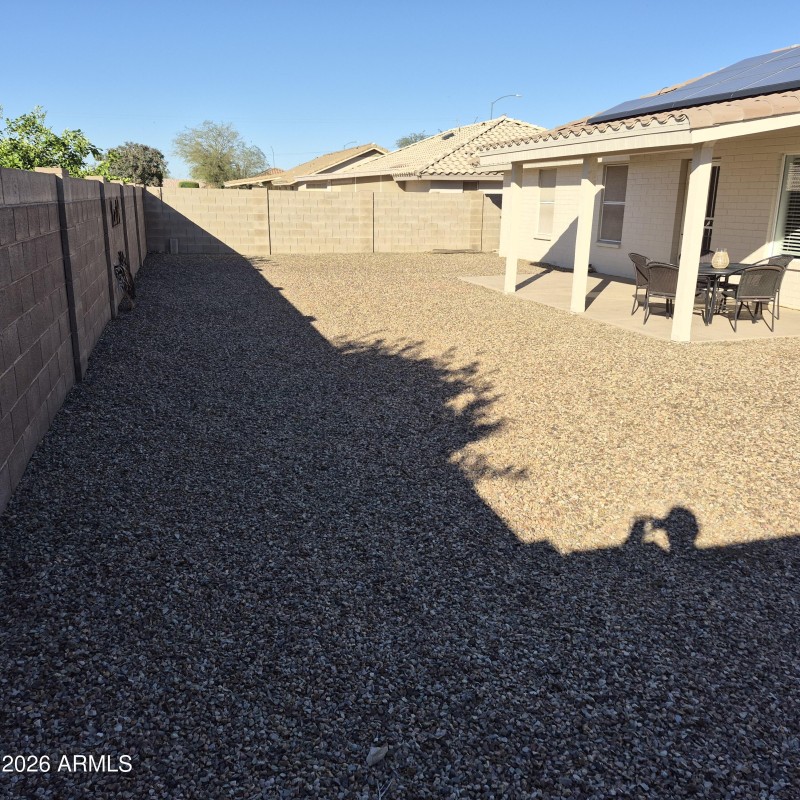 backyard3
