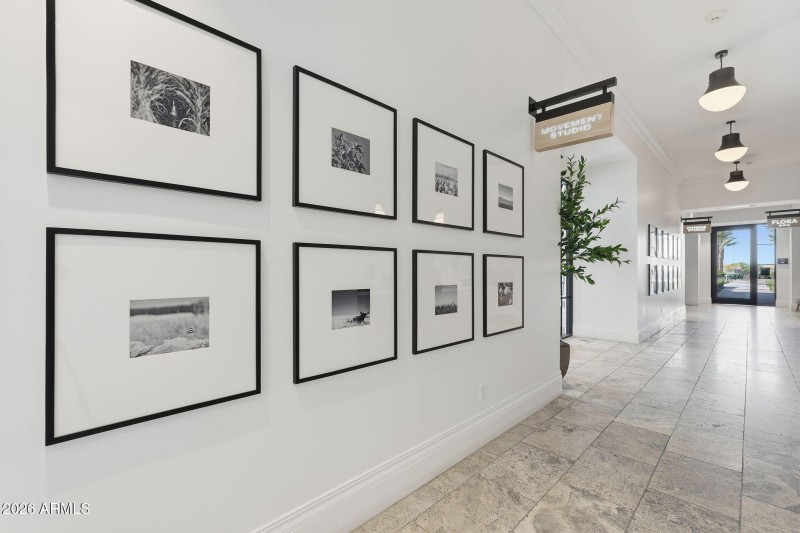 Movement Studio