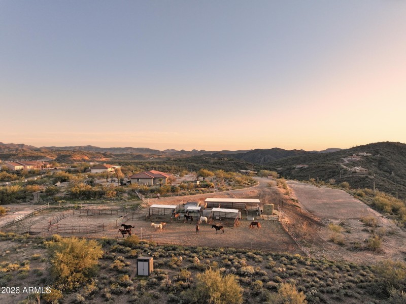 Drone 8