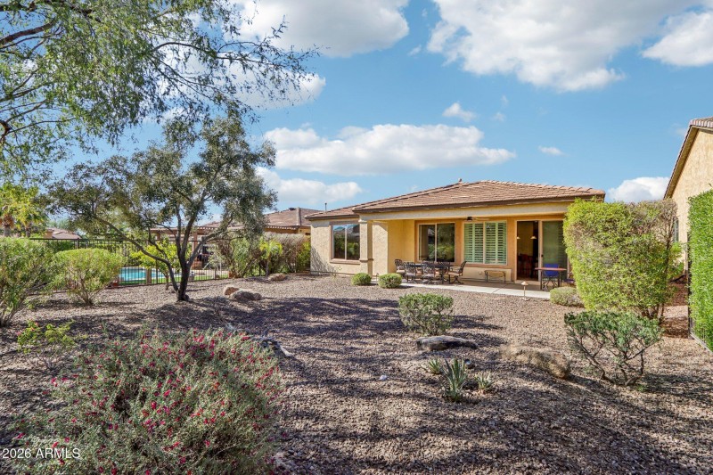 Lots of options for backyard
