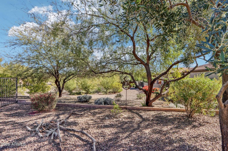 Hard to find Private Backyard