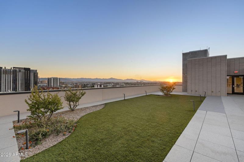 Sunset Rooftop Garden Space