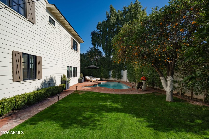 Lush Backyard