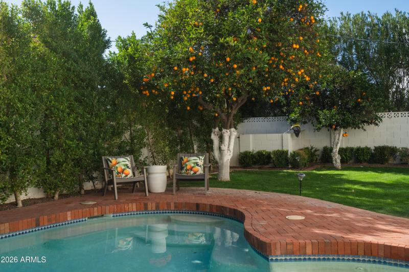 Great Outdoor Space