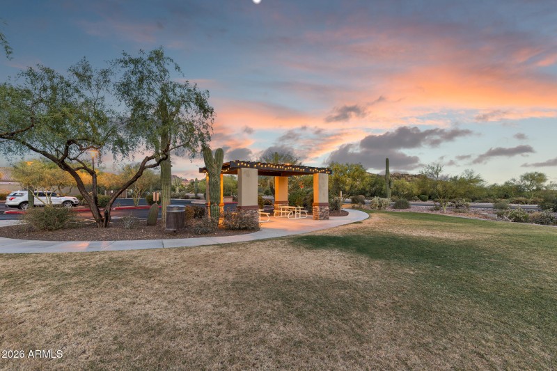 12_Pet Friendly Park_Superstition Foothi