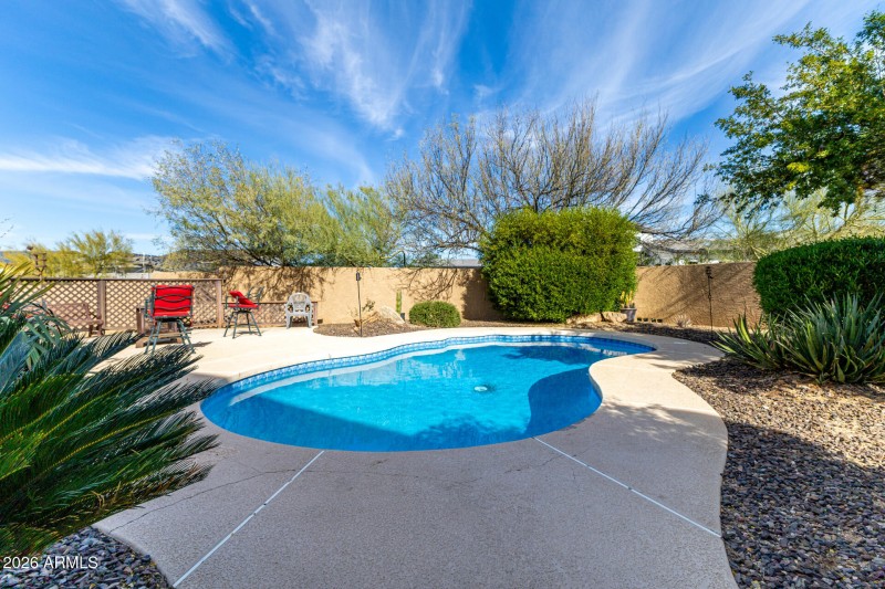 Sparkling Backyard Pool