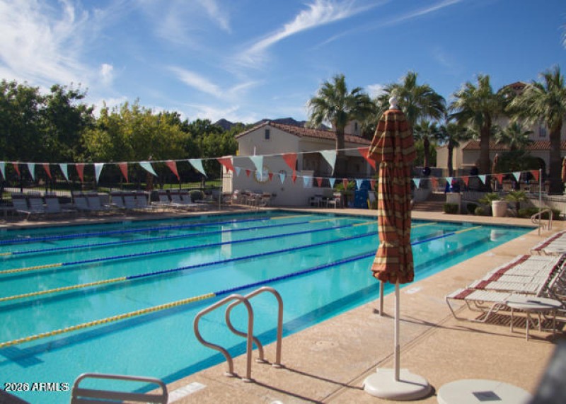 Community Lap Pool
