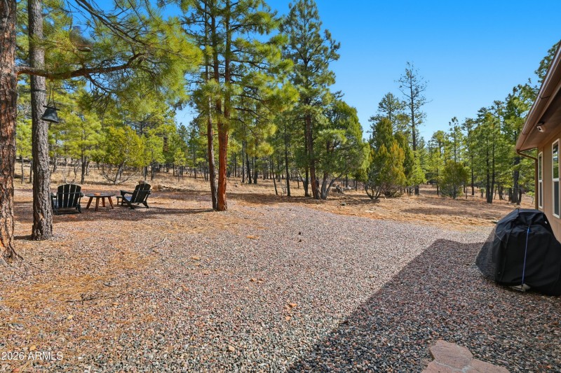 Fire pit area backs Forest