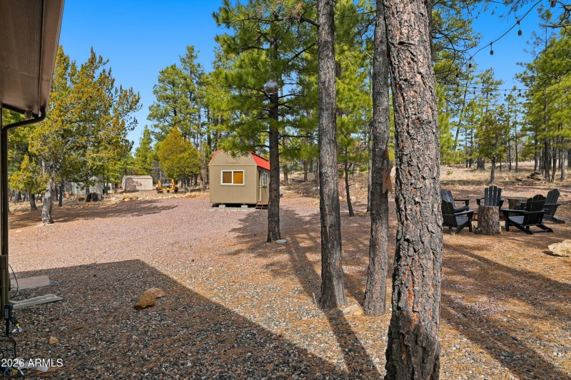 Back area