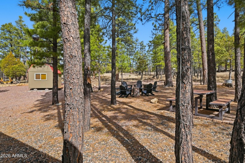 Firepit backs Forest