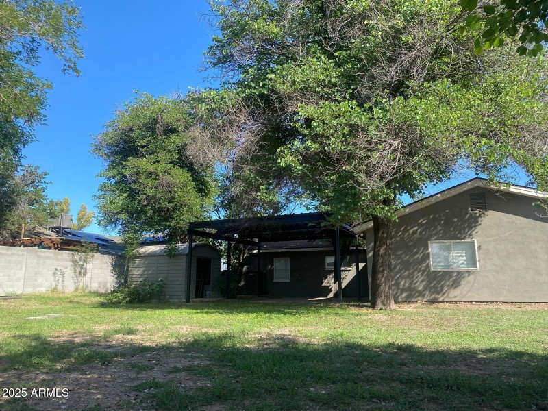 Backyard